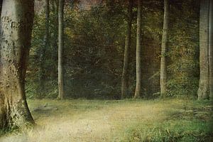 Waldweg