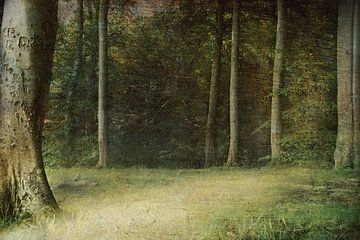 Waldweg van Heike Hultsch