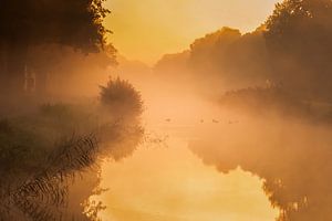 Nebel über dem Wasser