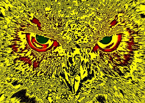 Owl's face