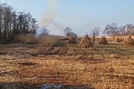 The Weerribben and Wieden; a cane cutter at work! by Roel Jonker thumbnail