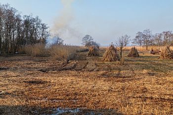 Die Weerribben und Wieden; ein Rohrschneider bei der Arbeit!