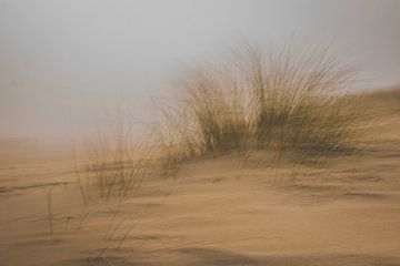 De duinen van het strand in Vrouwenpolder in Nederland in ICM van Robby's fotografie