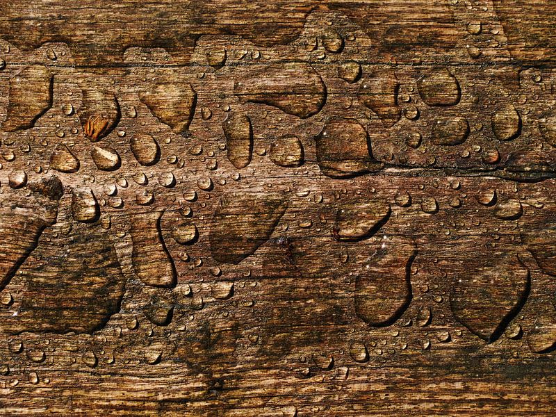 Plank and Water by Jörg Hausmann