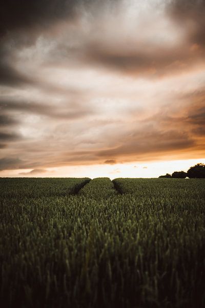 Zonsondergang 2 van Fabian Elsing