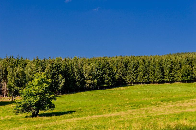 Prachtig landschap bij de Rennsteig/Thüringerwoud van Oliver Hlavaty