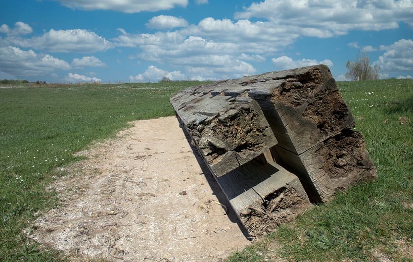 Großer Strahl von Jose Lok