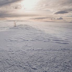 sneeuwlandschap in noorwegen, scandinavie van Marije Baan