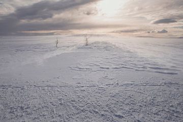 sneeuwlandschap in noorwegen, scandinavie van Marije Baan