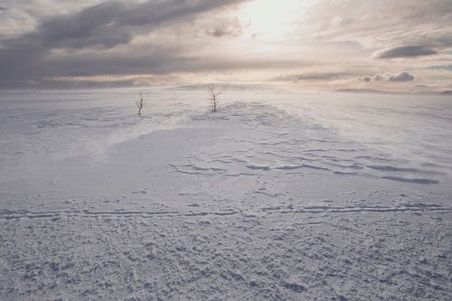 sneeuwlandschap in noorwegen, scandinavie