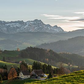 Lumière du soir au Säntis, dans l'Alpstein sur Conny Pokorny