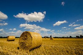 strawroll by Fred van Bergeijk