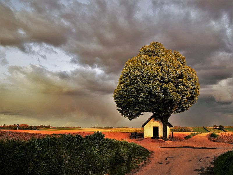 Het wit kappeletje onder een prachtig wolkendek von Maarten Honinx