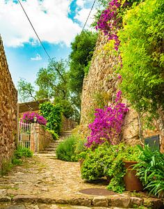 Idyllischer Blick auf die schöne Blumenstraße im alten Dorf Fornalutx auf Mallorca, Spanien