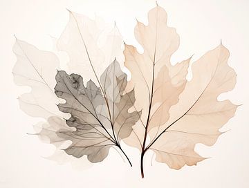 feuilles sur Caroline Guerain