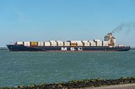 MSC Anisha R. container ship. by Jaap van den Berg thumbnail
