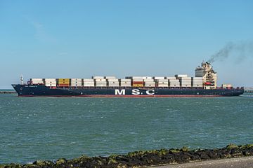 MSC Anisha R. Containerschiff. von Jaap van den Berg