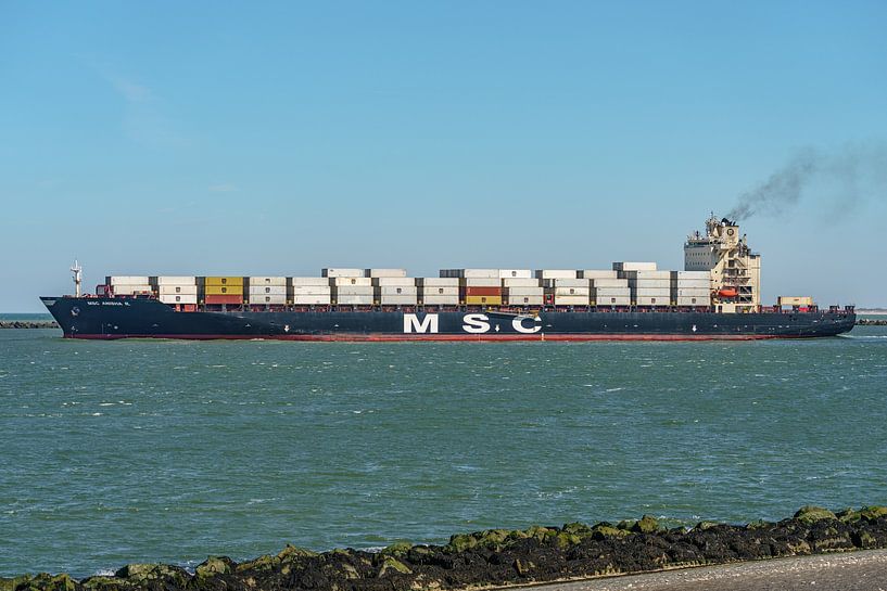 MSC Anisha R. container ship. by Jaap van den Berg