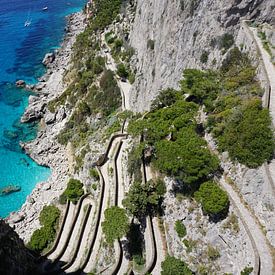 Die Via Krupp auf Capri von Dominic Corbeau