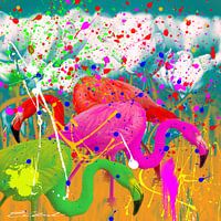 Gekleurde Flamingo’s en spetters