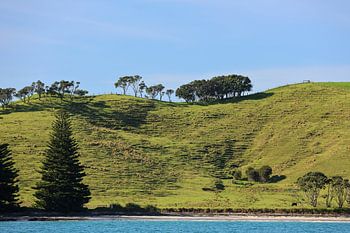 Landschaft Neuseeland