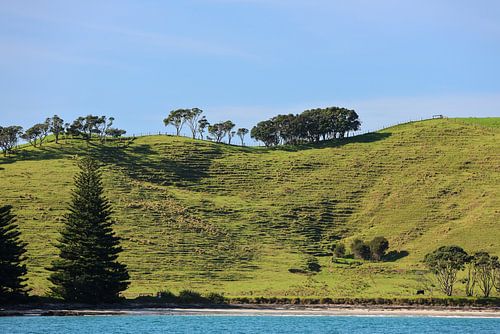 Landschap Nieuw-Zeeland