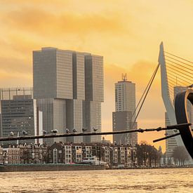 Zonsondergang door Erasmusbrug in Rotterdam van Javier Alonso