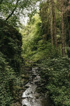A small river through a green oasis