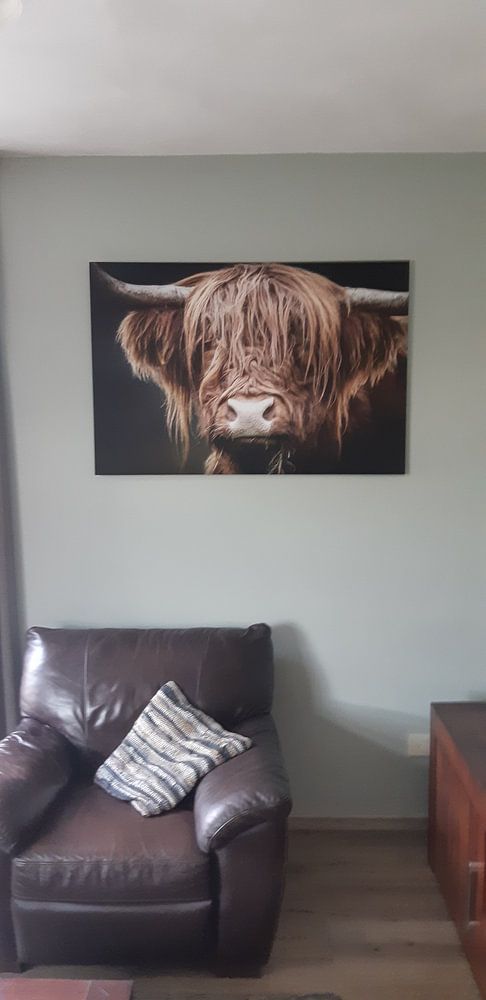 Schottischer Highlander von Mark van der Walle