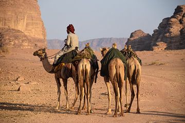 Kamelen in de woestijn van Jordanië van Chantal Schutte