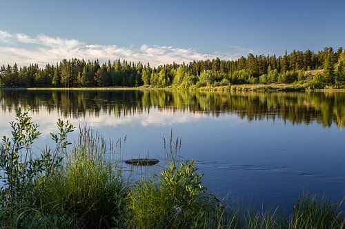 Schwedisch-Lappland in Sommerlicht und Reflexion