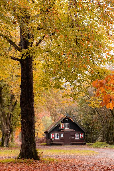Die Hütte im Herbstwald Zeist Austerlitz! von Peter Haastrecht, van