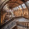 Naturhistorisches Museum von Photo Wall Decoration