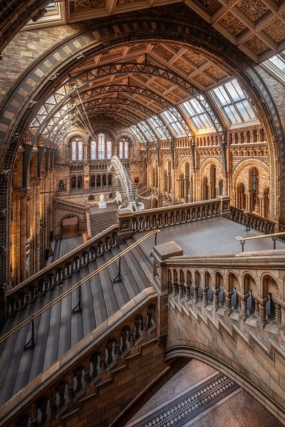 Musée d'histoire naturelle par Photo Wall Decoration