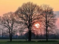 Siebengewald avec le soleil couchant
