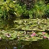 Étang avec nénuphars dans le jardin de Monet à Giverney sur Leoniek van der Vliet