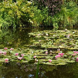 Pond with water lilies in Monet's garden in Giverney by Leoniek van der Vliet