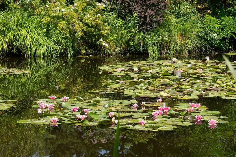 Teich mit Seerosen im Garten von Monet in Giverney von Leoniek van der Vliet