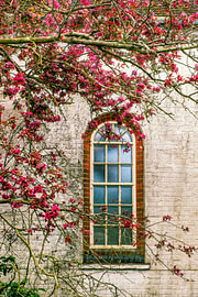 Spring Blossoms in Rye by Truus Nijland