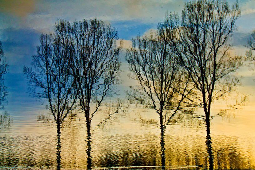 Spiegelung einiger Bäume im Wasser von Adriana Zoon