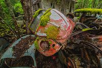 Bastnas Autofriedhof in Schweden