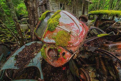 Bastnas Autofriedhof in Schweden