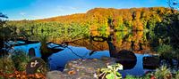 Hertasee im Nationalpark Jasmund von GH Foto & Artdesign Miniaturansicht