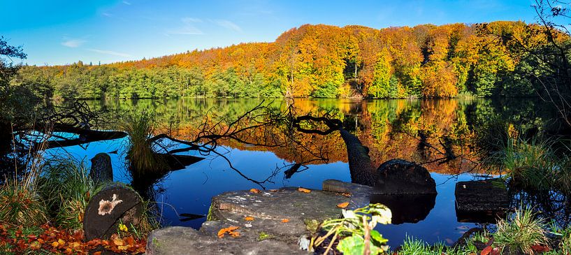 Hertasee im Nationalpark Jasmund von GH Foto & Artdesign