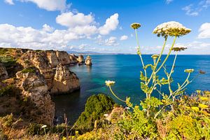 Kust bij Ponta da Piedade in de Algarve van Werner Dieterich