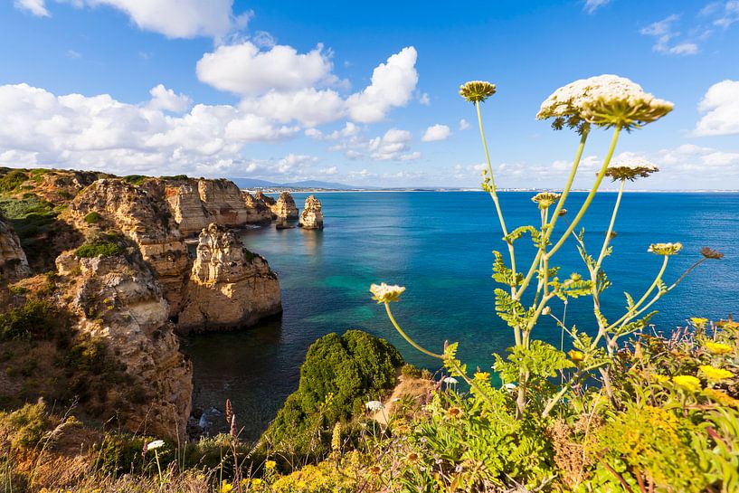 Coast near Ponta da Piedade in the Algarve by Werner Dieterich