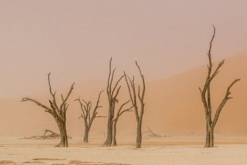 Sossusvlei in Namibie, woestijn van Caroline Drijber