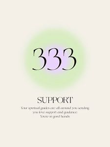 333 Support