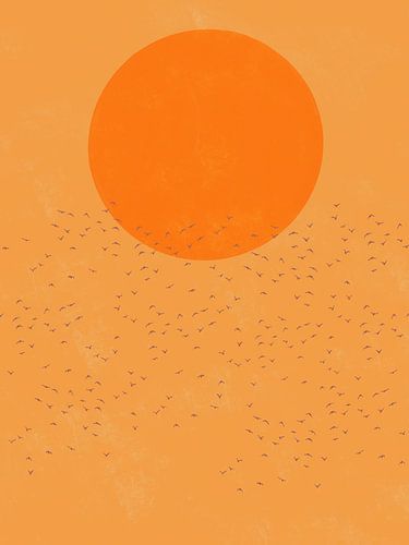 Afrikanische Sonnenuntergangslandschaft mit fliegenden Vögeln am Himmel.