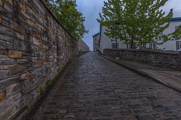 Stadtmauern und Kopfsteinpflasterstraße in Quebec, Kanada von Maarten Hoek